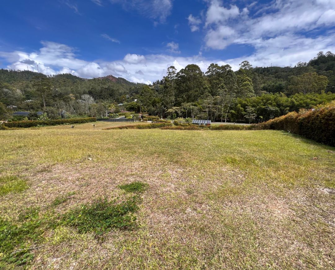 Lote  Llanogrande ,  Don Diego